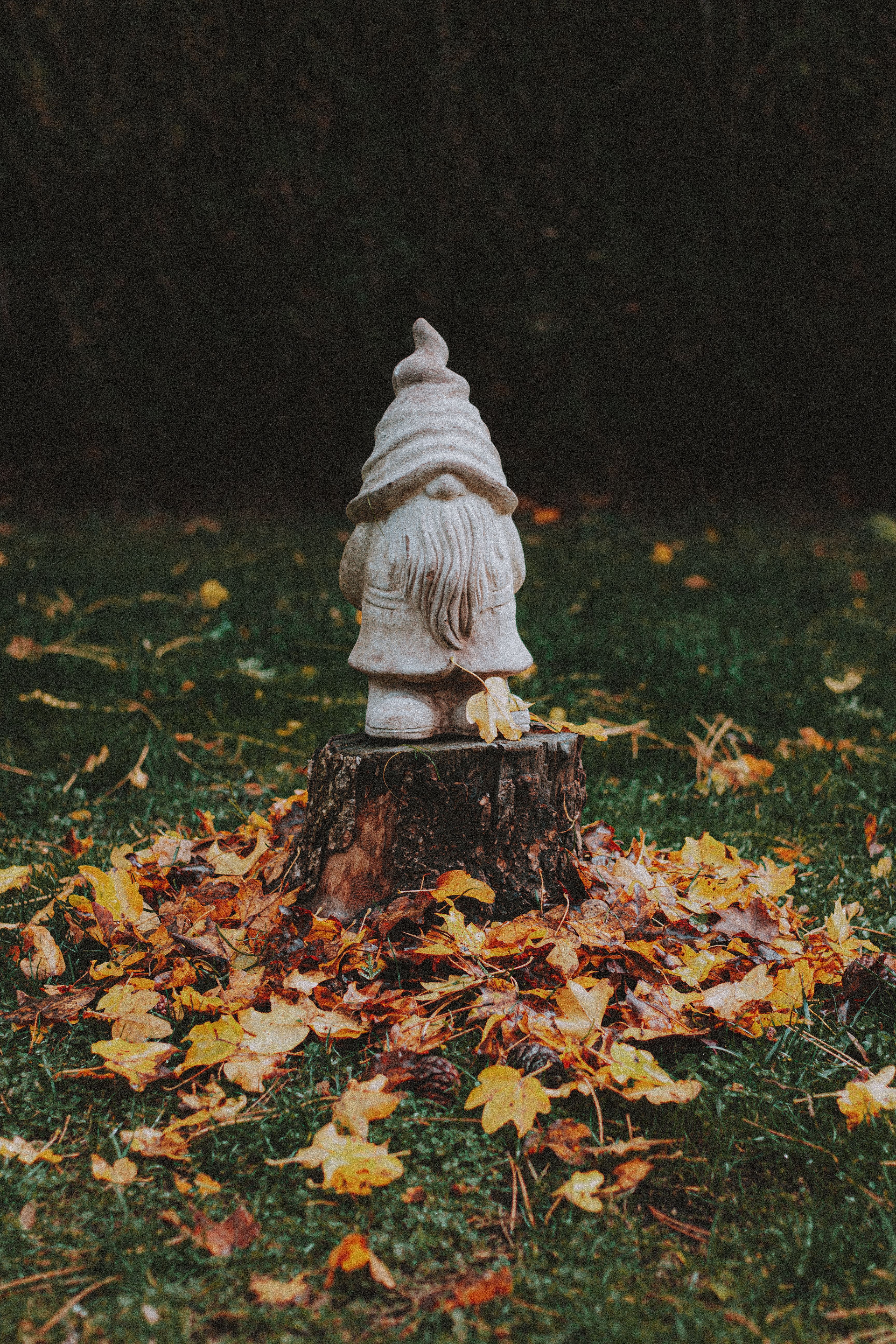 are garden gnomes actually making a comeback Fazit