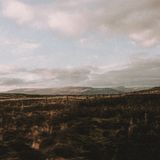 Album art for End Of The Wire — photo by Mathias Reding on Pexels