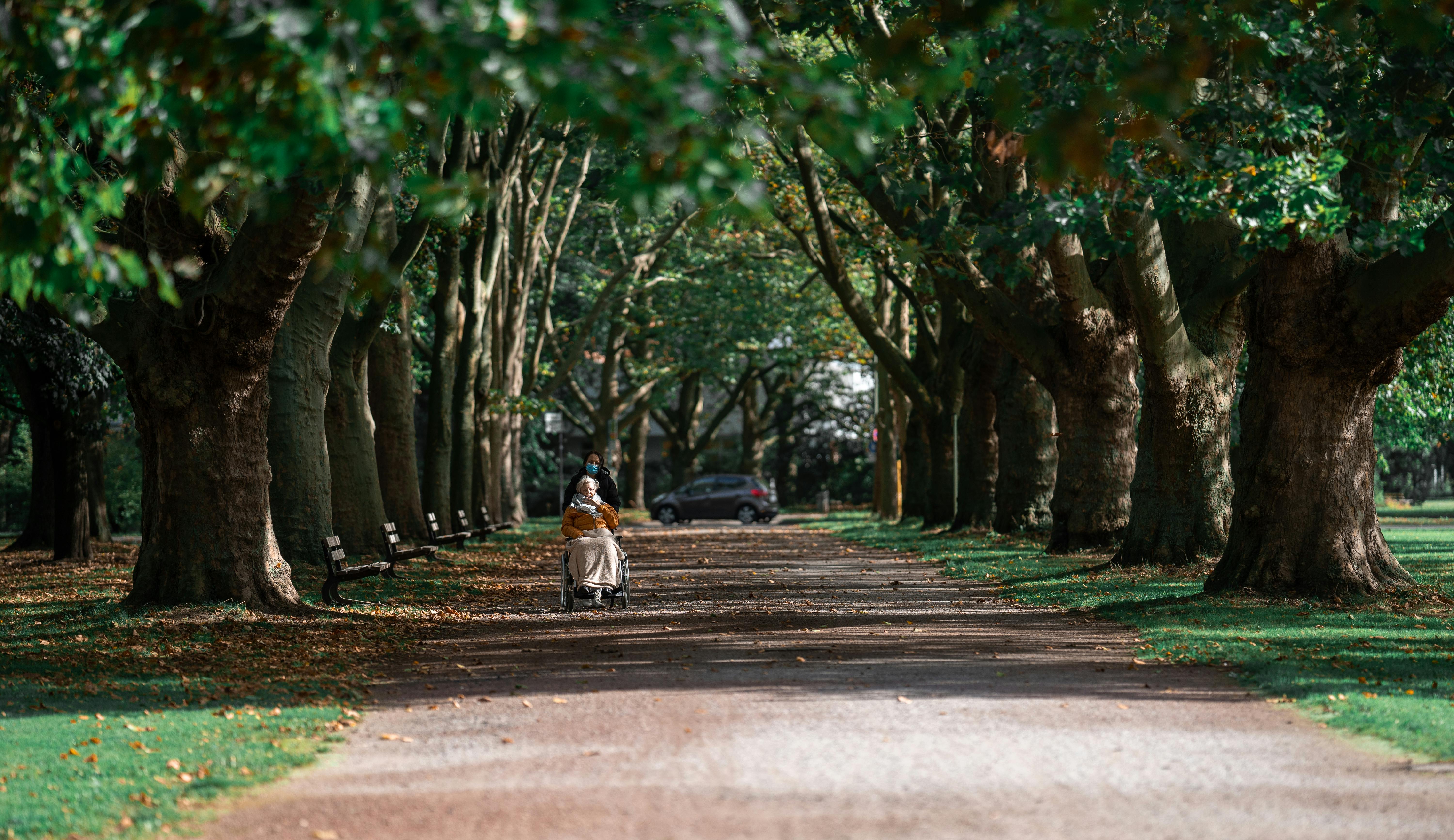 A tranquil moment in a park with an elderly person in a wheelchair