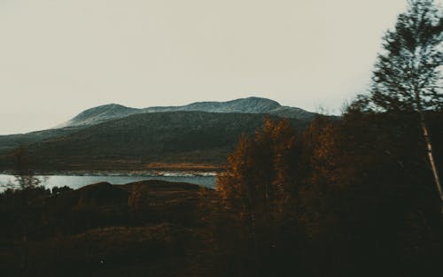 Autumn trees near mountains and lake in evening