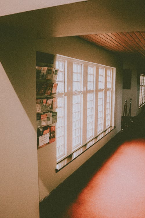 Contemporary building with empty passage near window and shelf with assorted flyers in sunlight