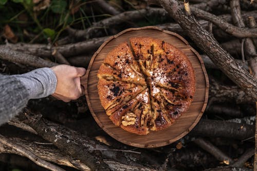 Foto d'estoc gratuïta de al forn, boscos, branques