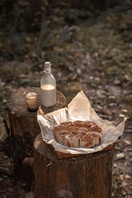 Free Cinnamon rolls on tree stumps outdoors, paired with milk under soft natural light. Stock Photo