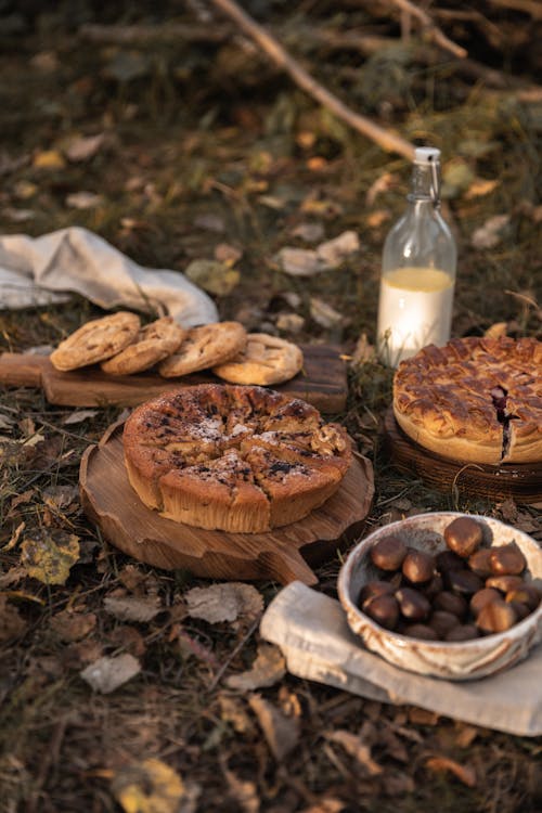 Fotobanka s bezplatnými fotkami na tému cookies, dno, jedlo