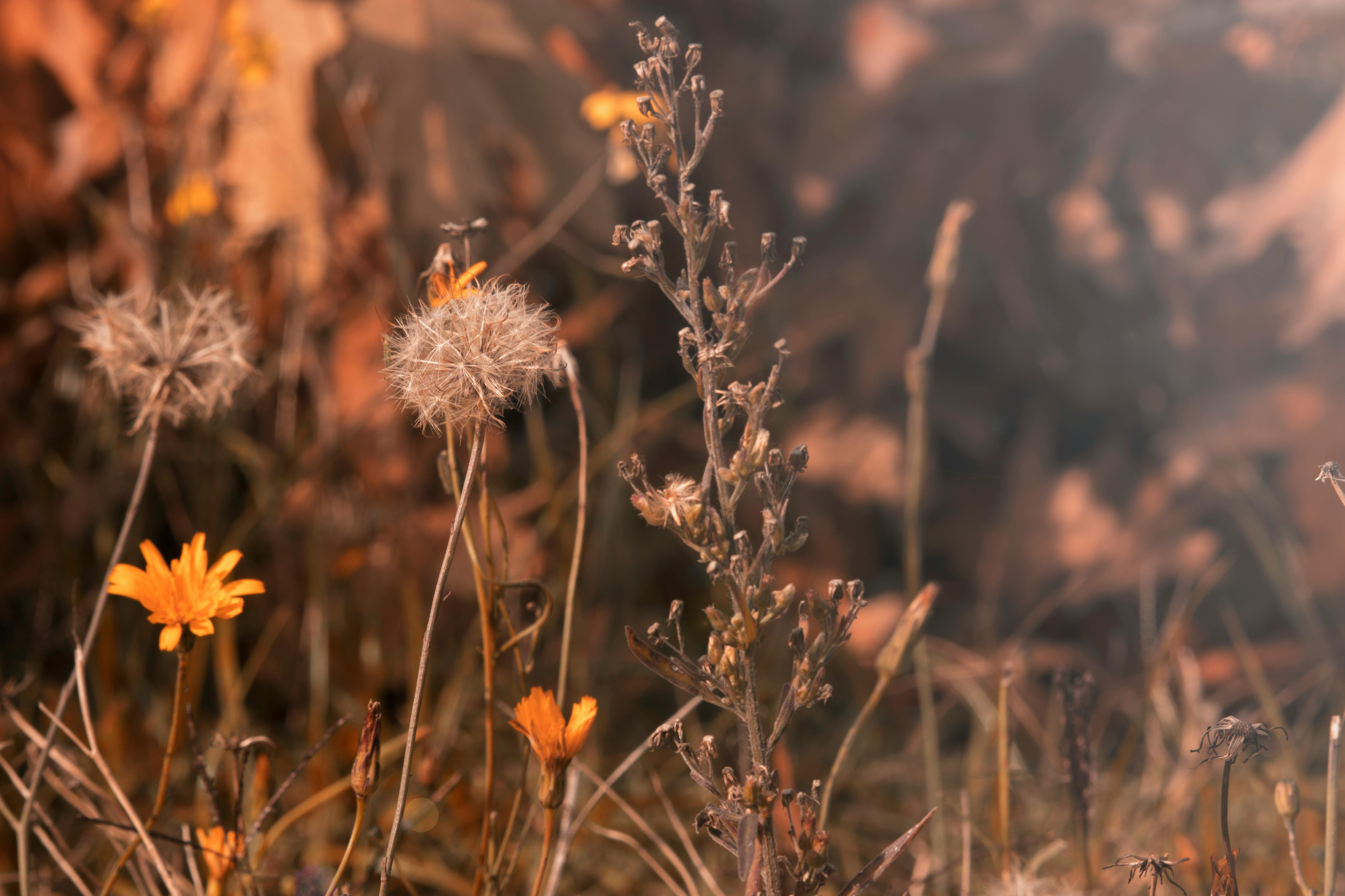 Equipo de construcción