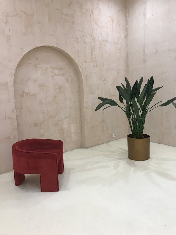 Green Plant Near Red Small Chair 