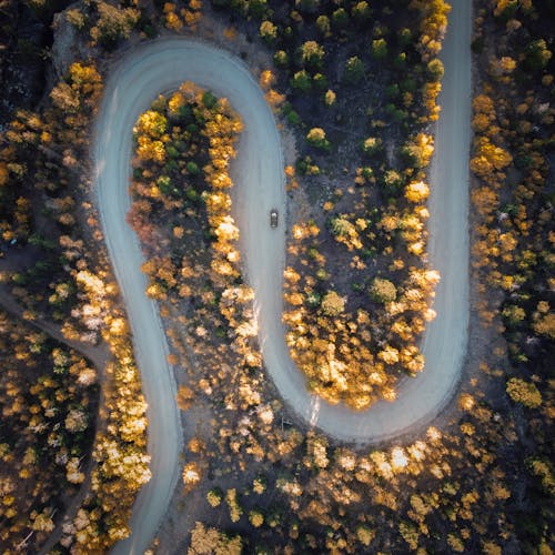 Birds Eye View of a Zigzag Road