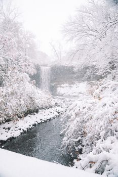 在宁静的树林中，河流穿过白雪覆盖的树木，构成一幅如画的风景