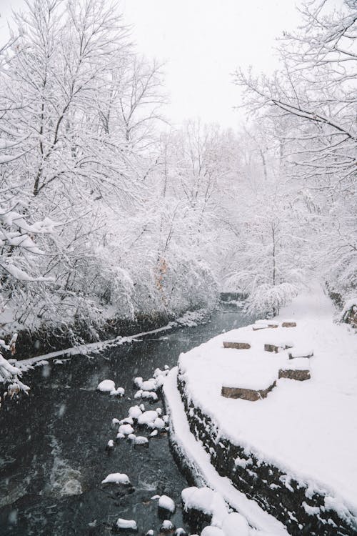 Narrow river in cold winter woods