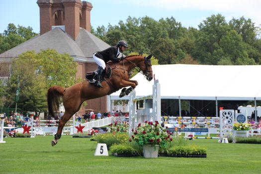 Elite Riders Soar Over Fences at Ottawa's Big Equestrian Tournament