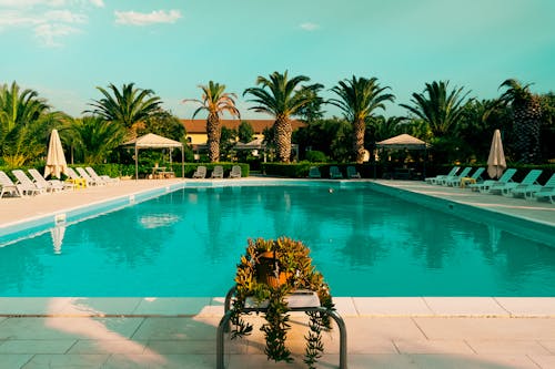 Wide Shot Of A Swimming Pool