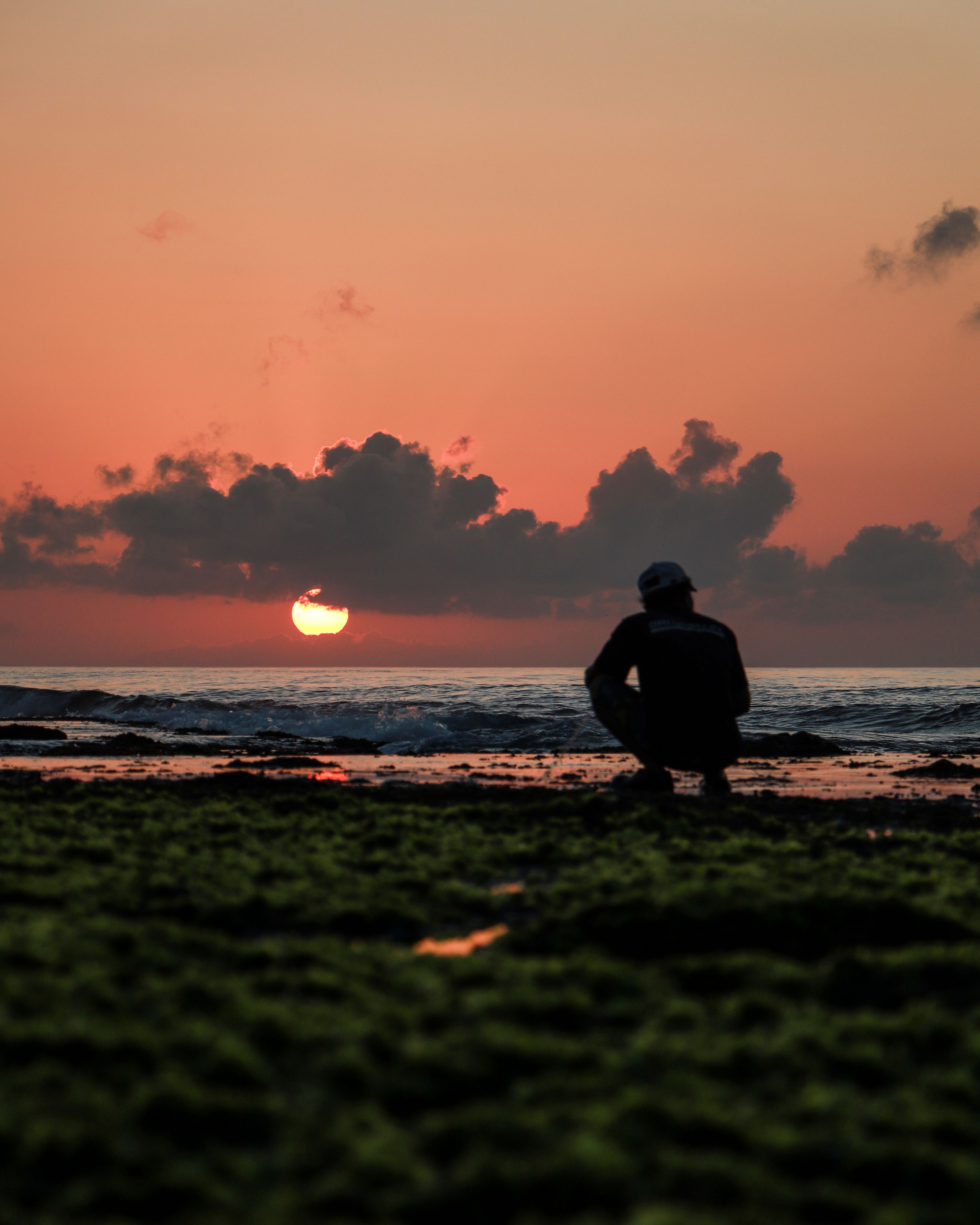 Back View Of a Man Sitting on The Seashore · Free Stock Photo