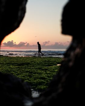 Silhouette of a person walking on a seaweed-covered beach during a beautiful sunset.