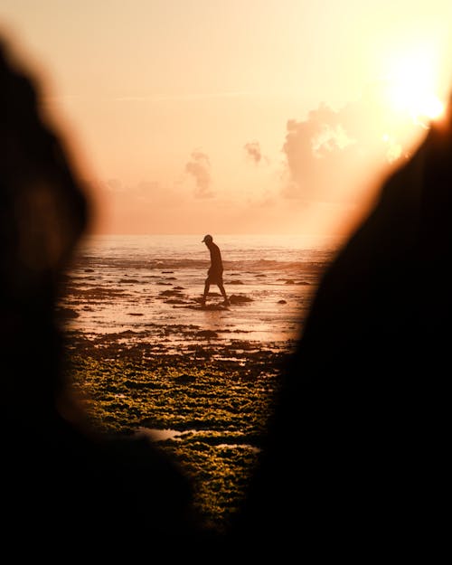 Person Walking on Seashore