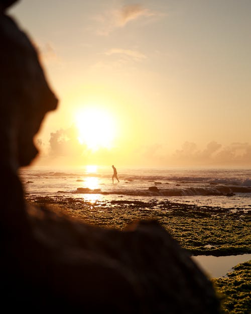 Person Walking on Seashore