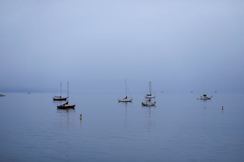 Sail Boats on Sea