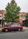 Red Sedan Parked Beside Green Tree