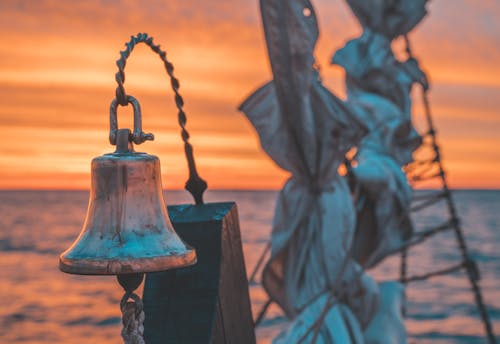 Základová fotografie zdarma na téma detail, selektivní ohnisko, zvonek