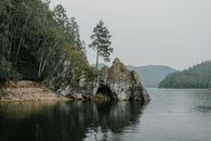 Green Trees Beside Body of Water