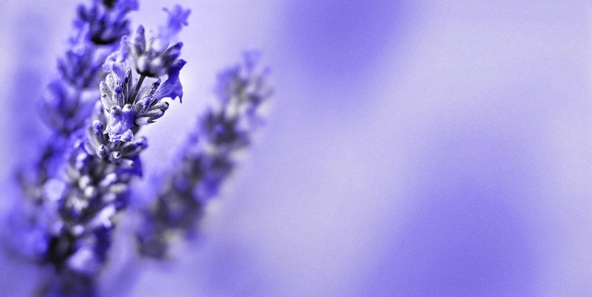 非洲數位金融革命如何在2026年重塑非正式經濟?專家深度剖析 非洲數位金融革命如何在2026年重塑非正式經濟?專家深度剖析