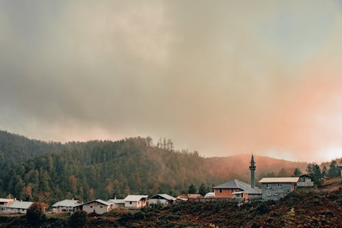 Houses Near Green Trees and Mountain