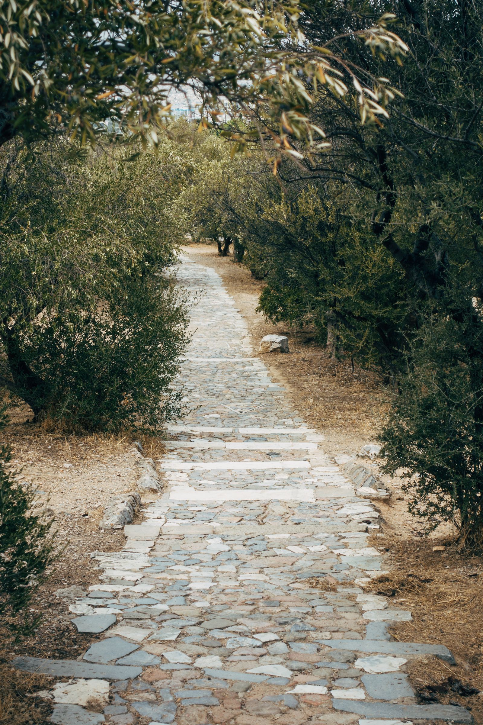 Uneven cobblestone path through greenery in Athens