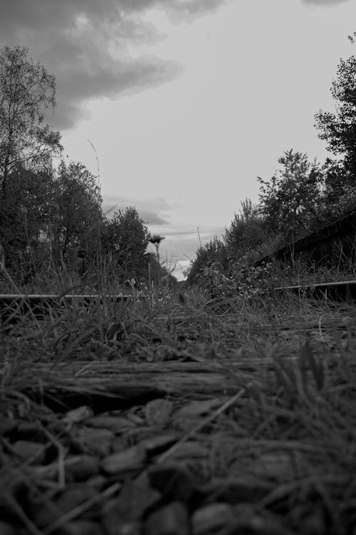 Free stock photo of train track