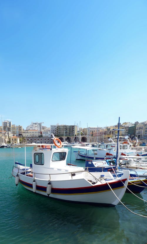 Modern white vessels moored on azure water in port against blue sky in coastal city in summer day in sunlight