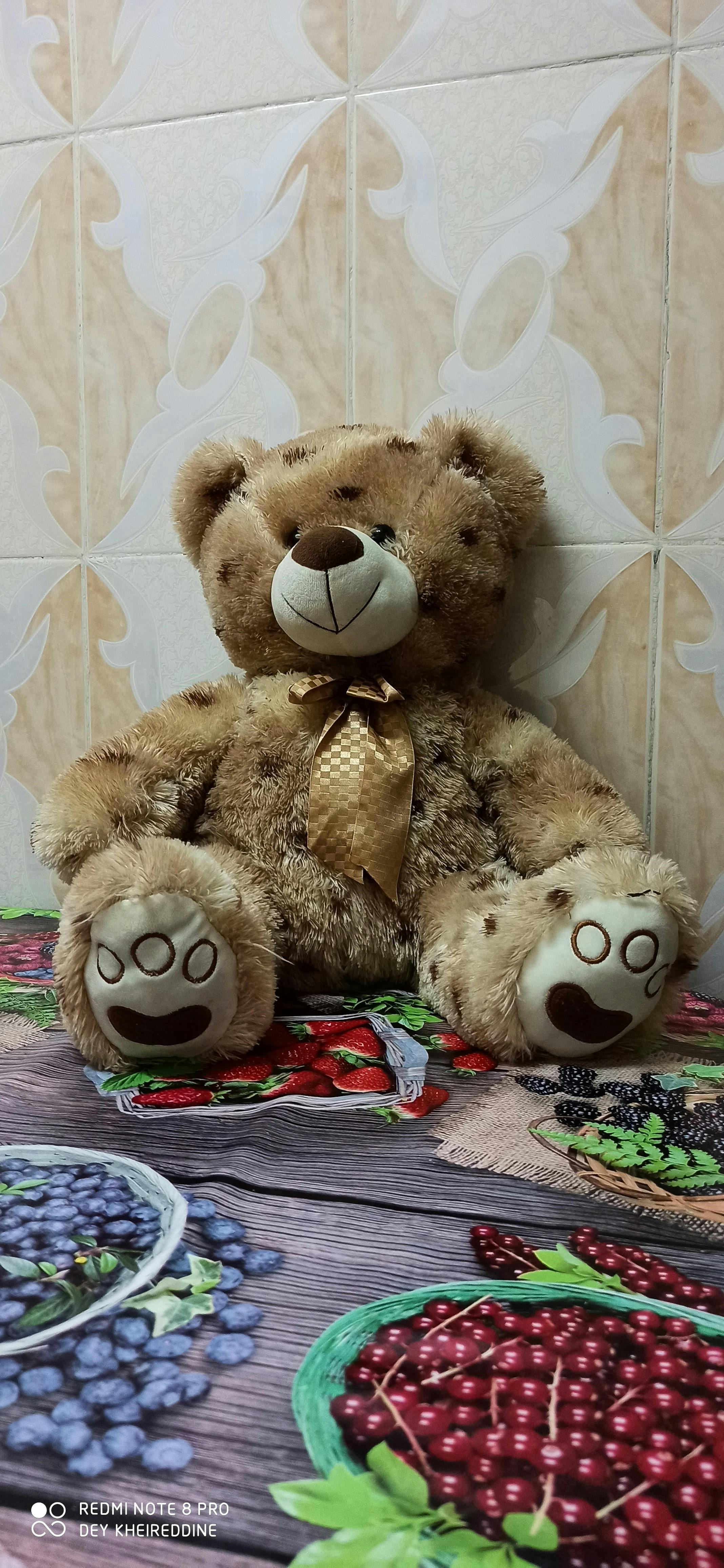 Canva interface displaying a book cover design