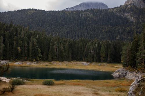 Gratis stockfoto met berg, bossen, buiten