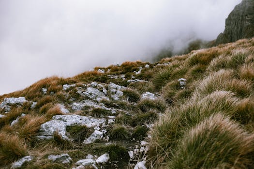 A misty mountain trail featuring rugged rocks and lush grasses under a cloudy sky.
