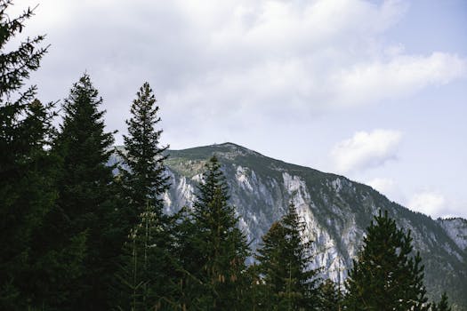 Breathtaking view of pine-covered mountain slopes under a cloudy sky.