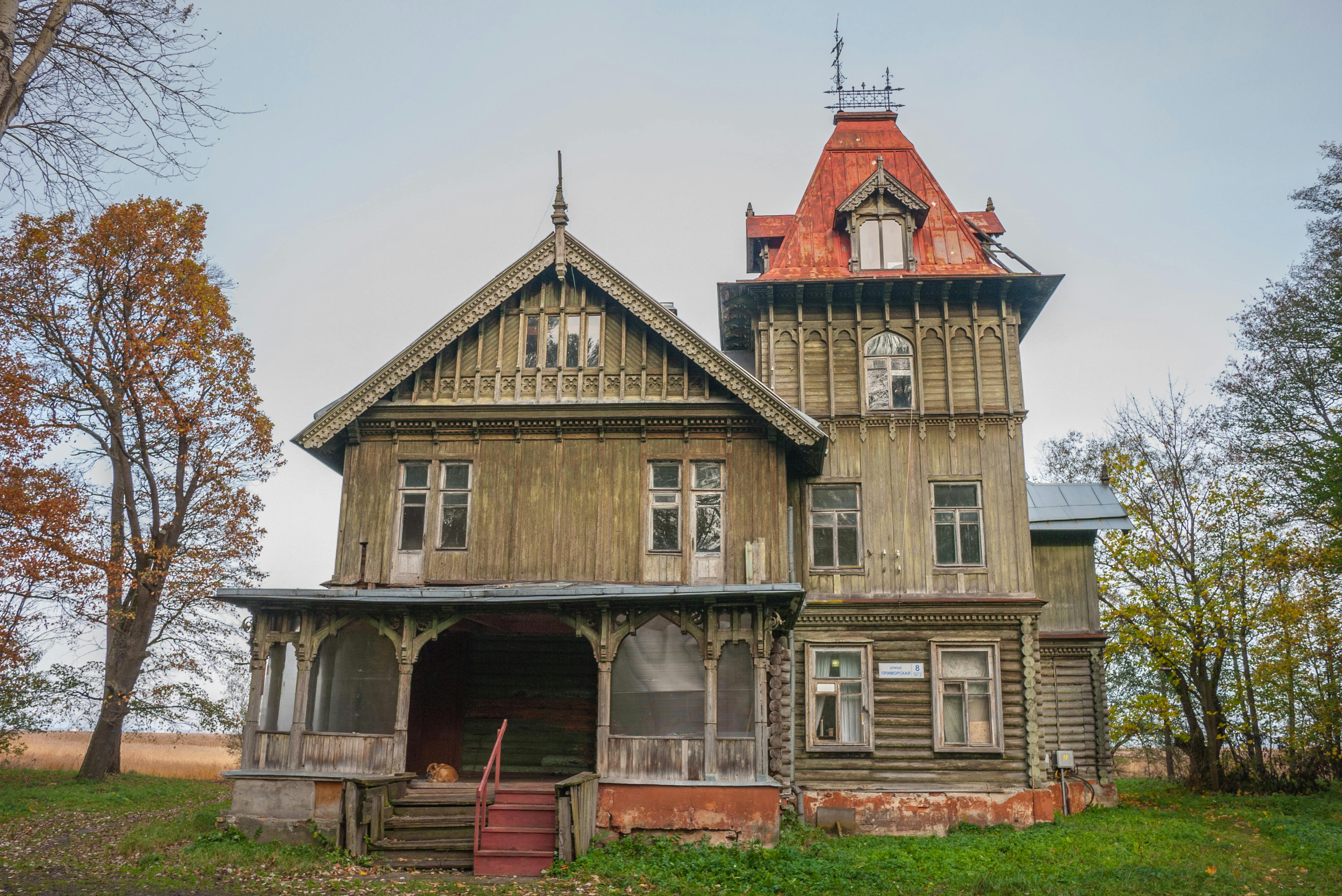 The Energy Vampires Haunting Your Home — Photo by paul on Pexels