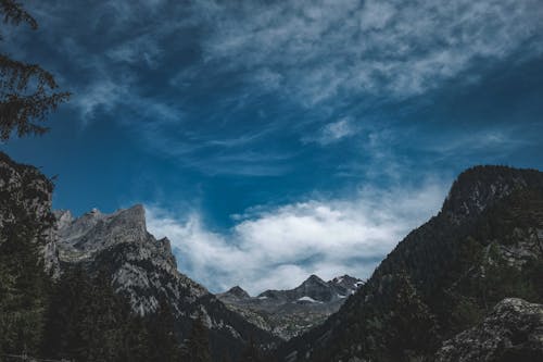 Low angle picturesque view of majestic mounts with trees under cloudy sky in daylight