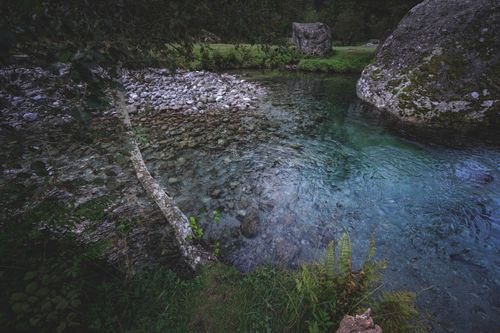 Free From above of pond with transparent water and stones against meadow with trees in summer woods Stock Photo
