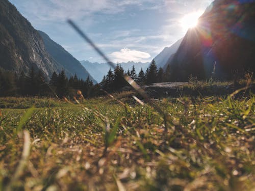 Základová fotografie zdarma na téma atmosféra, bujný, ekologie