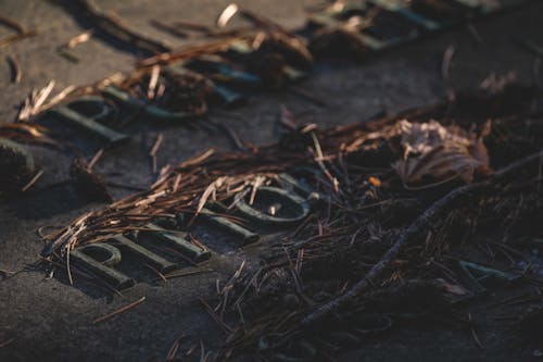 Metal letters with weathered surface under faded spruce needles on rough terrain in twilight