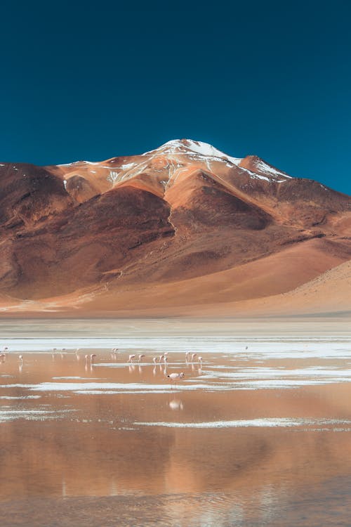 山, 沙漠, 環境 的 免费素材图片