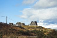 Aged residential wooden buildings with fence located among dry grass and plants in village
