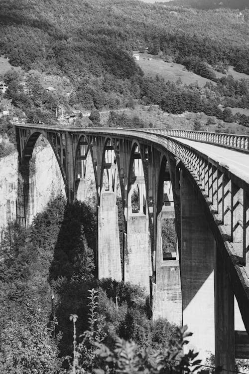 Základová fotografie zdarma na téma beton, černý a bílý, infrastruktura