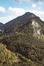 Green Trees on Mountain Under Blue Sky