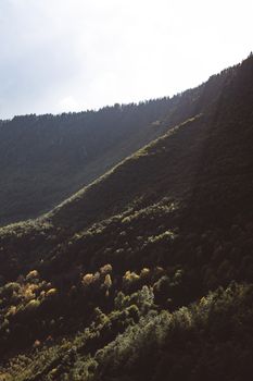 阳光穿过云层，洒在森林覆盖的美丽山坡上