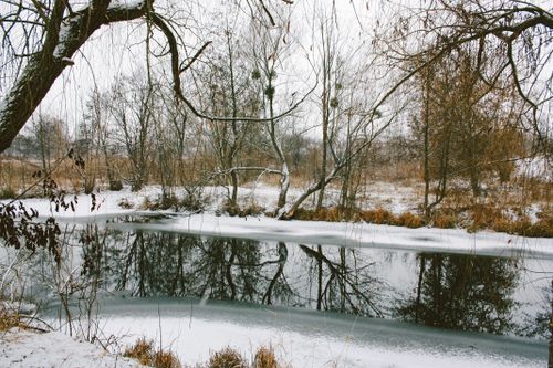 Free A peaceful winter scene featuring a frozen pond surrounded by bare trees and snow. Stock Photo