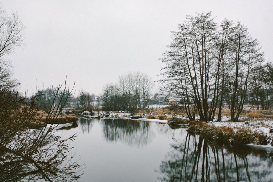 A serene winter landscape featuring bare trees reflected in a calm lake under a cloudy sky.