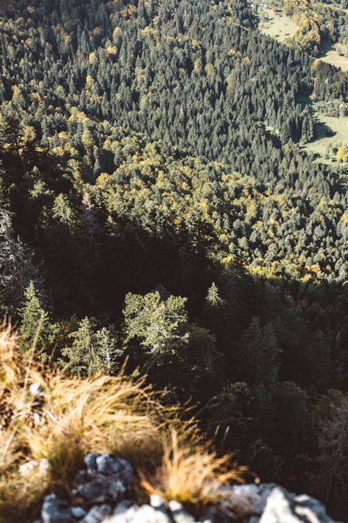 ドローン撮影, 垂直ショット, 山の無料の写真素材