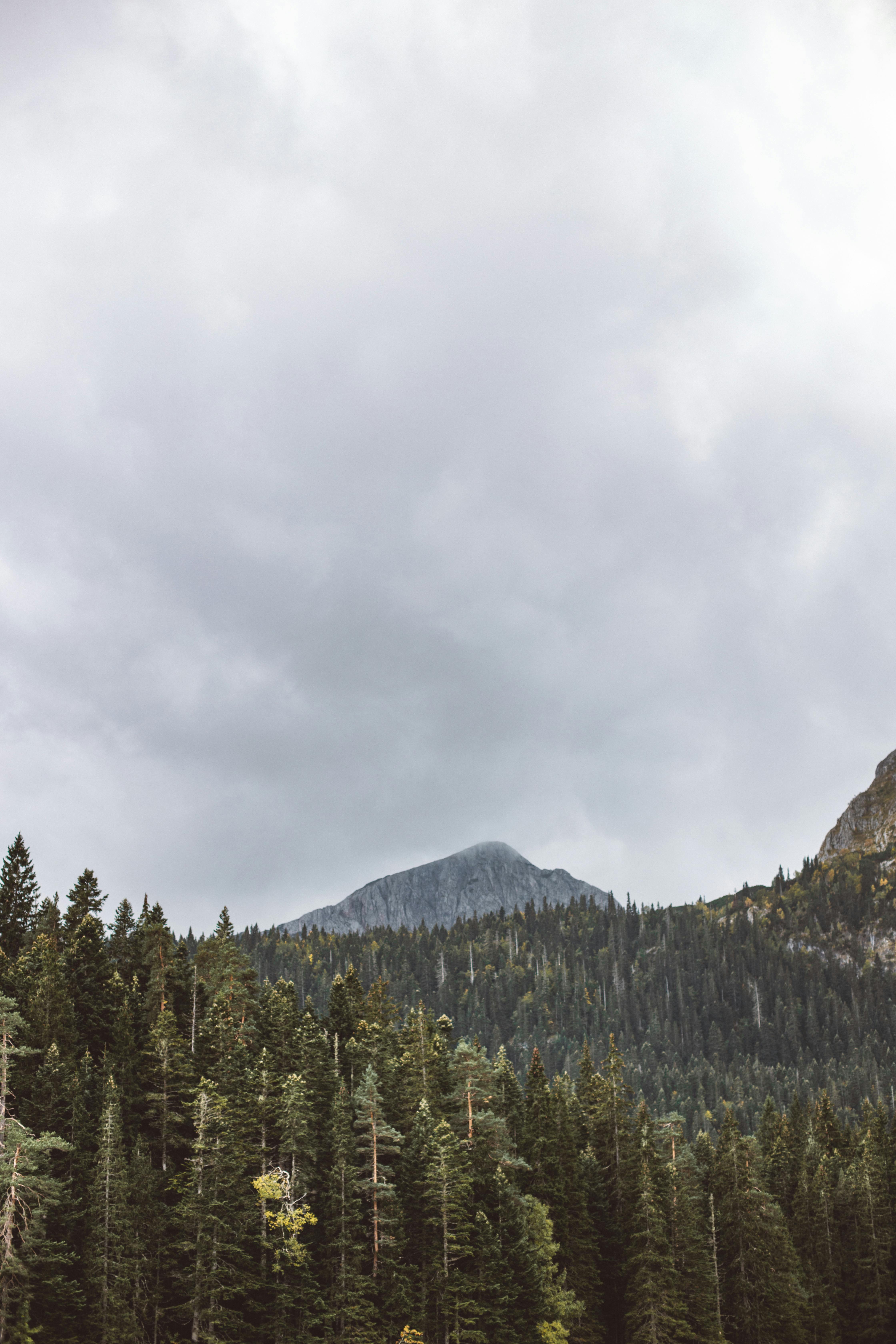 A Cloudy Sky · Free Stock Photo