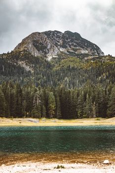 湖畔景色宁静，背景是松林和雄伟的山峰