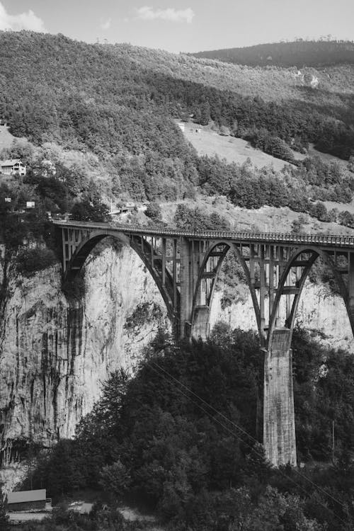Grayscale Photo of Bridge 