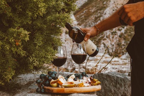 Foto profissional grátis de copos de vinho, derramando, derramar