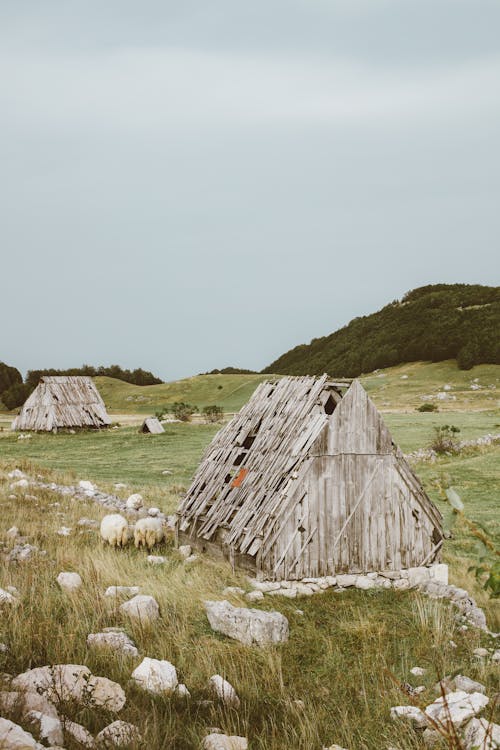 Brown Huts on Green Grass Field